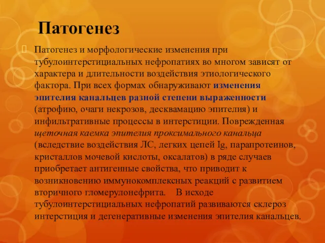 Патогенез Патогенез и морфологические изменения при тубулоинтерстициальных нефропатиях во многом зависят от характера