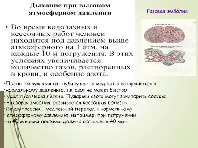 Газовая эмболия. После погружения на глубину важно медленно возвращаться к