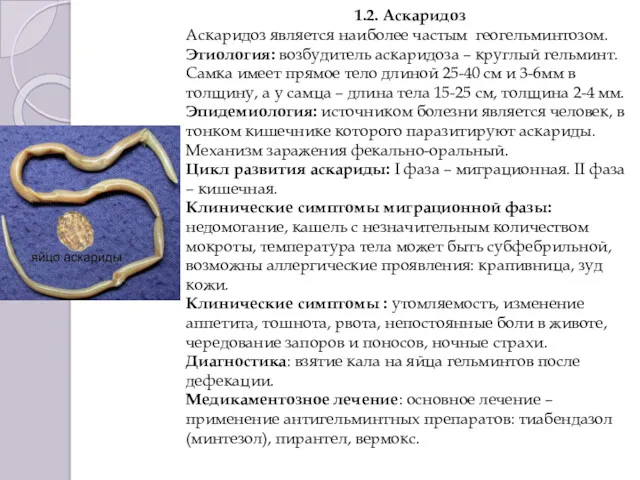 1.2. Аскаридоз Аскаридоз является наиболее частым геогельминтозом. Этиология: возбудитель аскаридоза