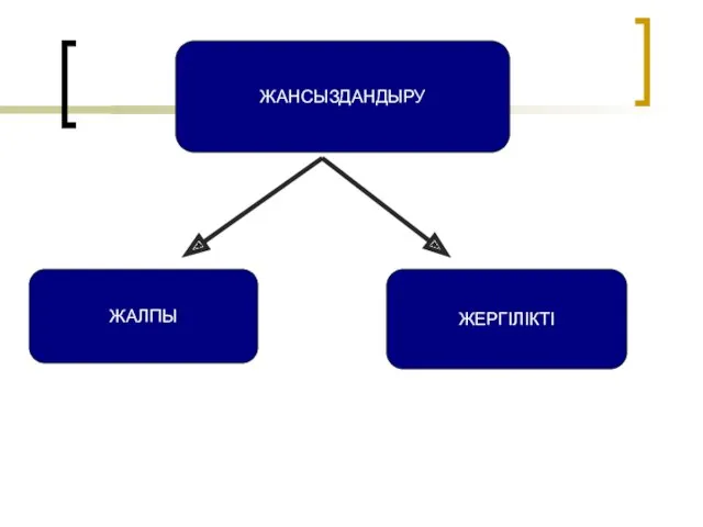 ЖАНСЫЗДАНДЫРУ ЖАЛПЫ ЖЕРГІЛІКТІ