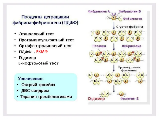 В-нафтоловый тест , РКМФ