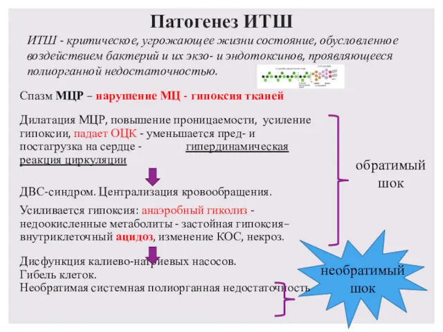 Патогенез ИТШ Спазм МЦР – нарушение МЦ - гипоксия тканей