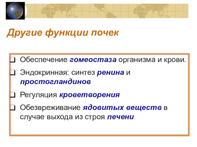 Другие функции почек Обеспечение гомеостаза организма и крови. Эндокринная: синтез