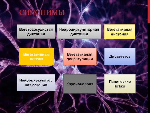 СИНОНИМЫ Вегетососудистая дистония Нейроциркуляторная дистония Вегетативная дистония Вегетативный невроз Дисвегетоз