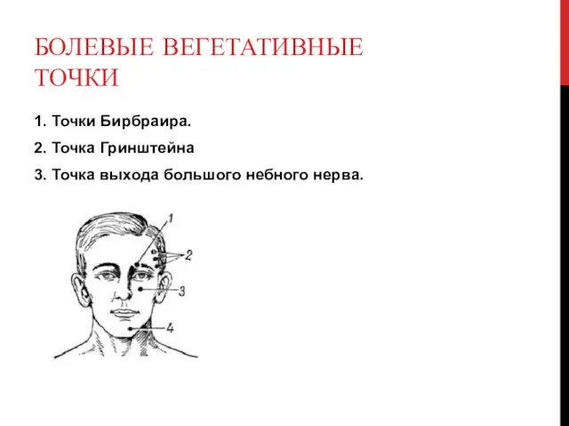 БОЛЕВЫЕ ВЕГЕТАТИВНЫЕ ТОЧКИ 1. Точки Бирбраира. 2. Точка Гринштейна 3. Точка выхода большого небного нерва.