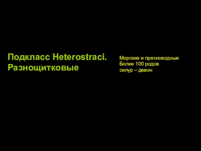 Подкласс Heterostraci. Разнощитковые Морские и пресноводные Более 100 родов силур – девон