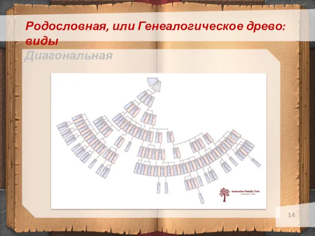 Родословная, или Генеалогическое древо: виды Диагональная