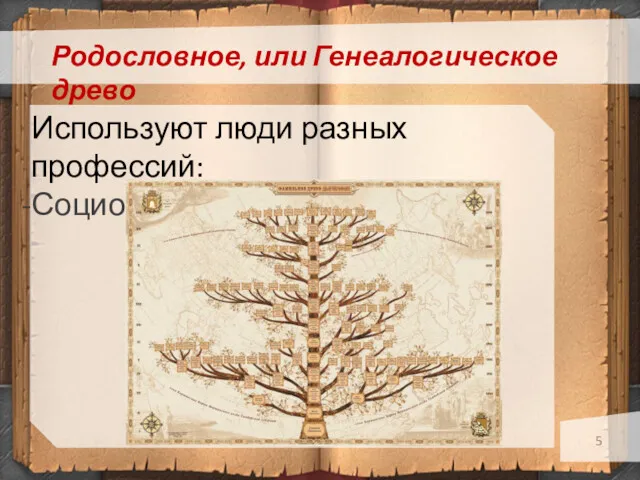 Родословное, или Генеалогическое древо Используют люди разных профессий: Социологи и психологи