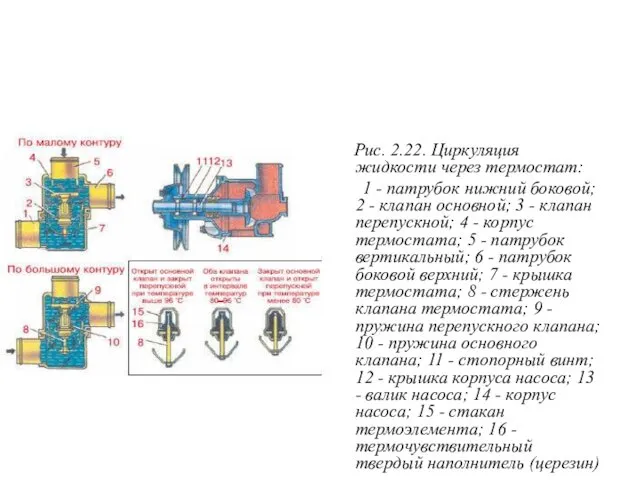 Рис. 2.22. Циркуляция жидкости через термостат: 1 - патрубок нижний