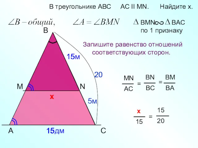 5м 20 х х A B N В треугольнике АВС