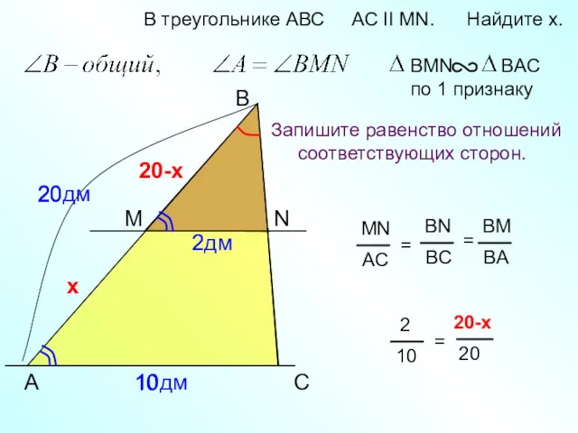 20дм 20 A B N В треугольнике АВС AC II