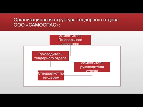 Организационная структура тендерного отдела ООО «САМОСПАС»:
