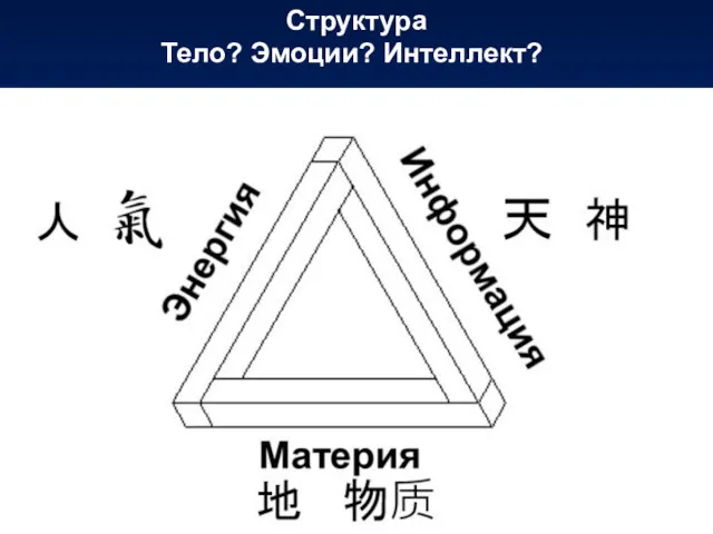 Структура Тело? Эмоции? Интеллект?