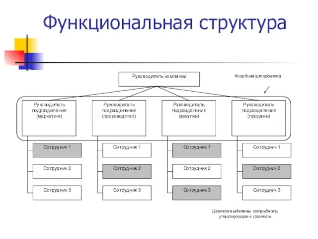 Функциональная структура