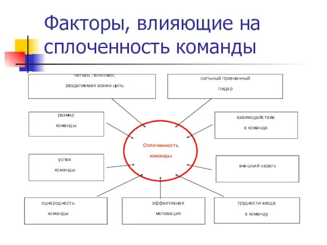 Факторы, влияющие на сплоченность команды