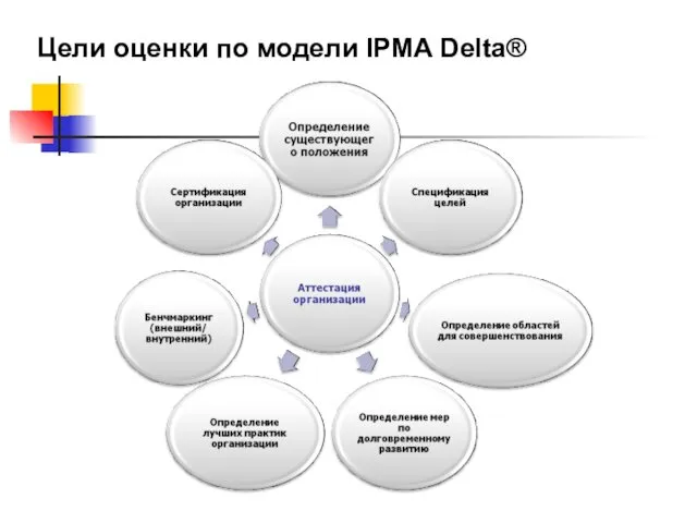 Цели оценки по модели IPMA Delta®