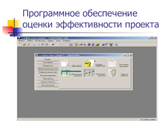 Программное обеспечение оценки эффективности проекта