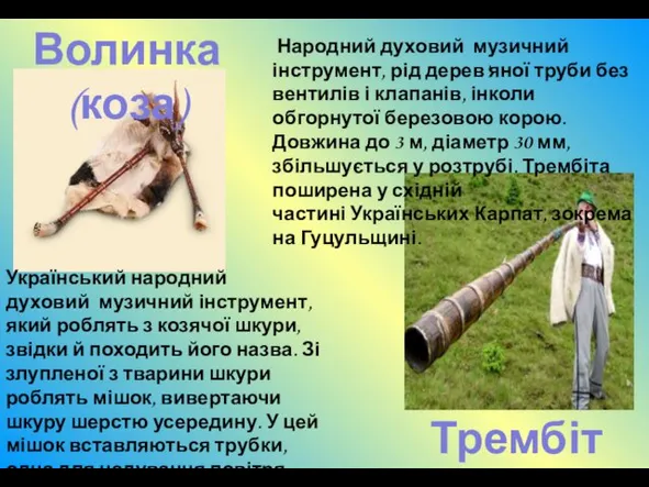 Трембіта Волинка(коза) Український народний духовий музичний інструмент, який роблять з козячої шкури, звідки