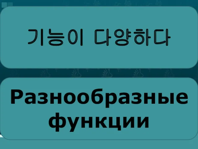 기능이 다양하다 Разнообразные функции