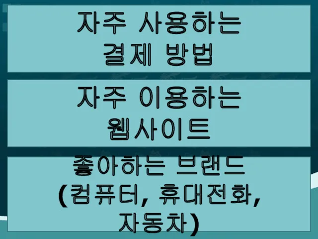 자주 사용하는 결제 방법 자주 이용하는 웹사이트 좋아하는 브랜드 (컴퓨터, 휴대전화, 자동차)