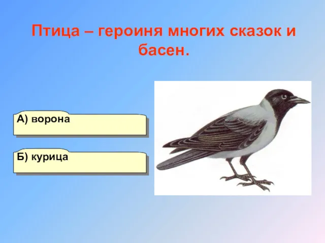 А) ворона Б) курица Г) ласточка В) сорока Птица – героиня многих сказок и басен.