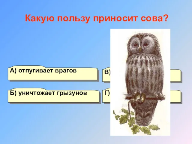 А) отпугивает врагов Б) уничтожает грызунов Г) ловит насекомых В) никакую Какую пользу приносит сова?