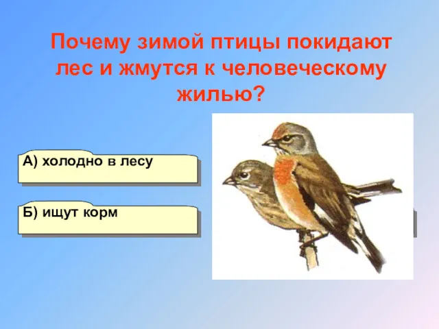 А) холодно в лесу Б) ищут корм Г) негде спрятаться