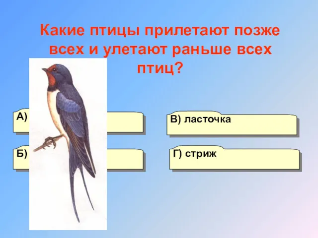 А) скворец Б) аист Г) стриж В) ласточка Какие птицы