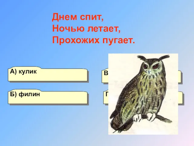 А) кулик Б) филин Г) зяблик В) сойка Днем спит, Ночью летает, Прохожих пугает.