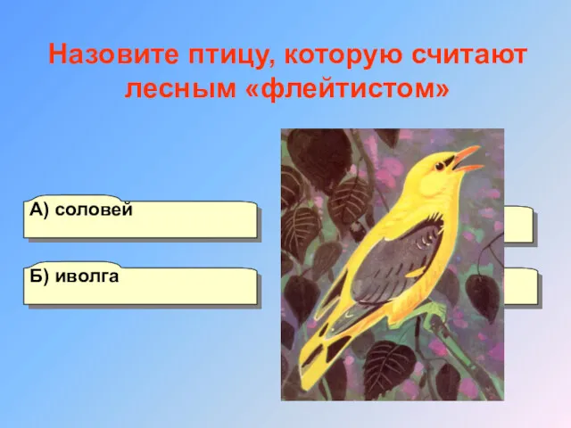 А) соловей Б) иволга Г) щегол В) зяблик Назовите птицу, которую считают лесным «флейтистом»