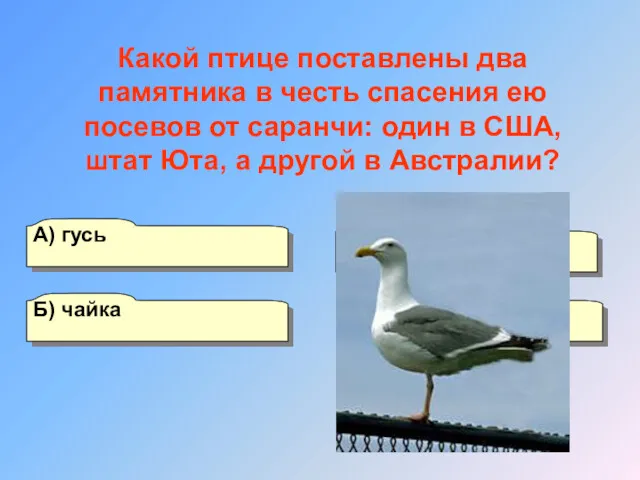 А) гусь Б) чайка Г) цапля В) аист Какой птице