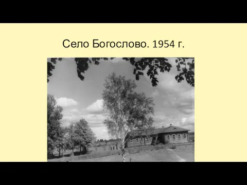 Село Богослово. 1954 г.