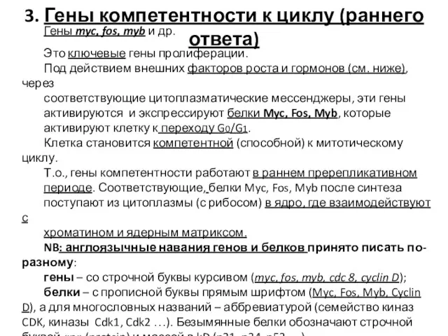 3. Гены компетентности к циклу (раннего ответа) Гены myc, fos,