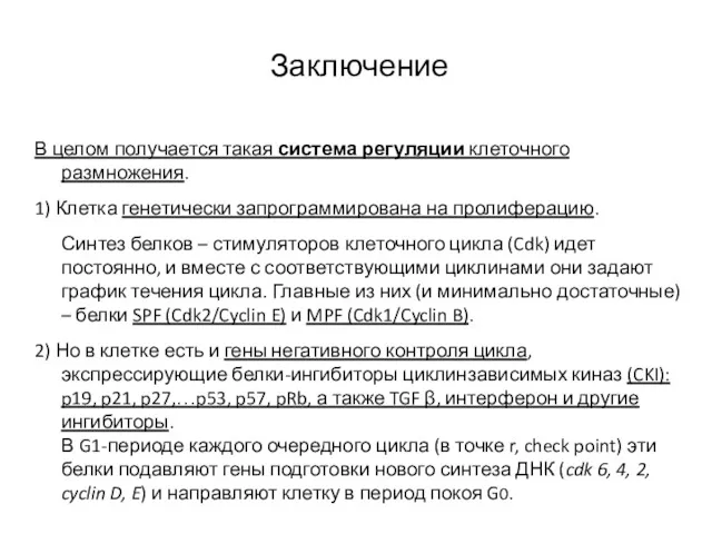 Заключение В целом получается такая система регуляции клеточного размножения. 1)