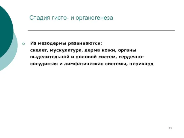 Стадия гисто- и органогенеза Из мезодермы развиваются: скелет, мускулатура, дерма