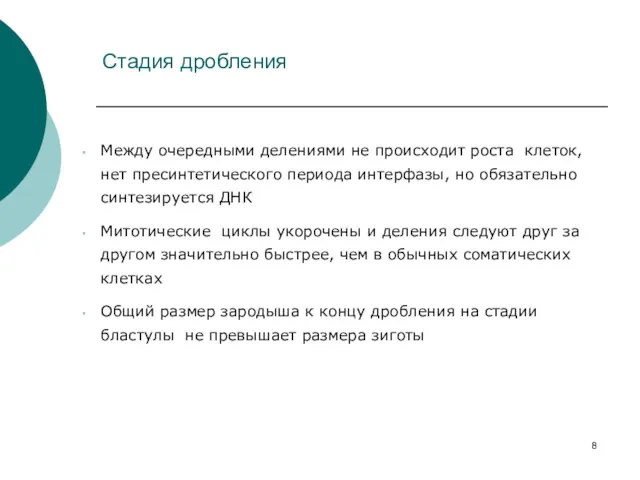 Стадия дробления Между очередными делениями не происходит роста клеток, нет