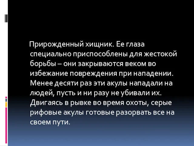 Прирожденный хищник. Ее глаза специально приспособлены для жестокой борьбы –