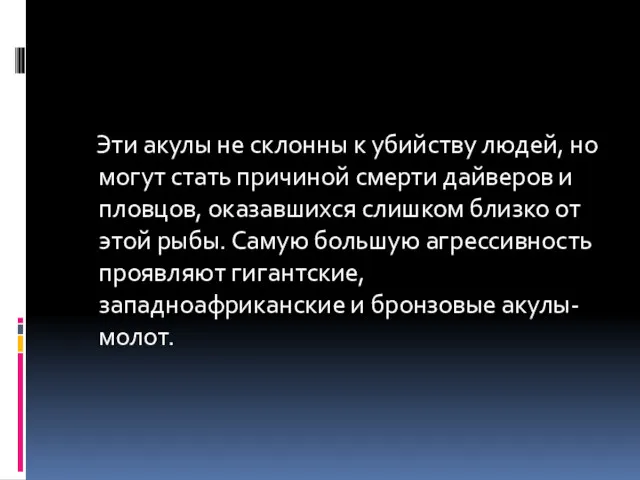 Эти акулы не склонны к убийству людей, но могут стать