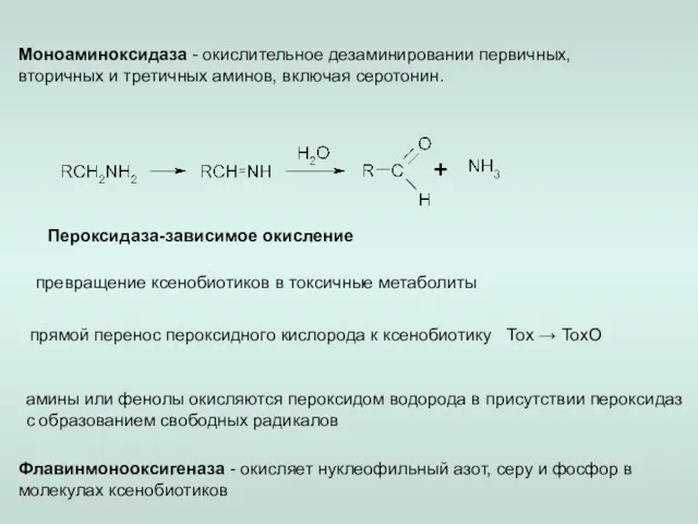 Пероксидаза-зависимое окисление превращение ксенобиотиков в токсичные метаболиты прямой перенос пероксидного