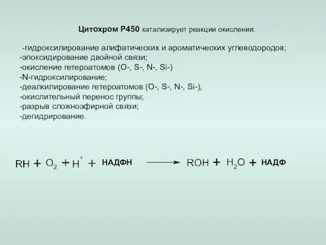 Цитохром Р450 катализирует реакции окисления: -гидроксилирование алифатических и ароматических углеводородов;