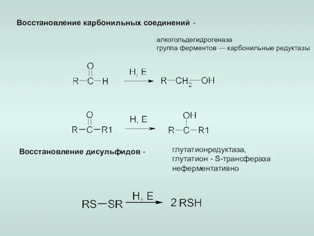 Восстановление карбонильных соединений - алкогольдегидрогеназа группа ферментов — карбонильные редуктазы