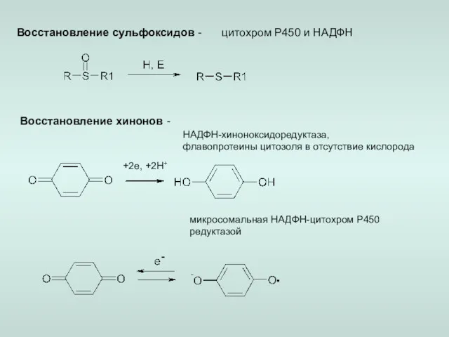 Восстановление сульфоксидов - цитохром Р450 и НАДФН Восстановление хинонов -