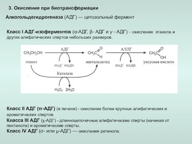 3. Окисление при биотрансформации Алкогольдегидрогеназа (АДГ) — цитозольный фермент Класс