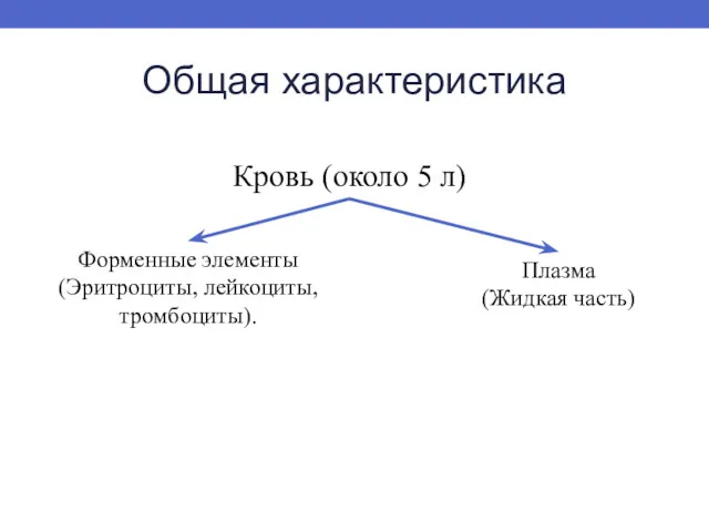 Общая характеристика Кровь (около 5 л) Форменные элементы (Эритроциты, лейкоциты, тромбоциты). Плазма (Жидкая часть)