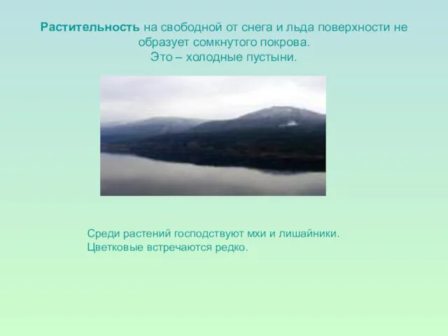 Растительность на свободной от снега и льда поверхности не образует