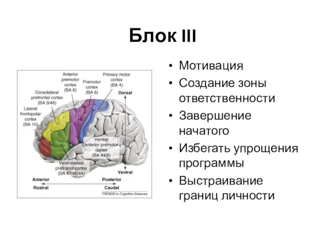 Блок III Мотивация Создание зоны ответственности Завершение начатого Избегать упрощения программы Выстраивание границ личности