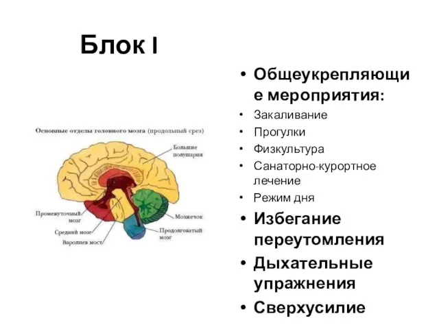 Блок I Общеукрепляющие мероприятия: Закаливание Прогулки Физкультура Санаторно-курортное лечение Режим дня Избегание переутомления Дыхательные упражнения Сверхусилие