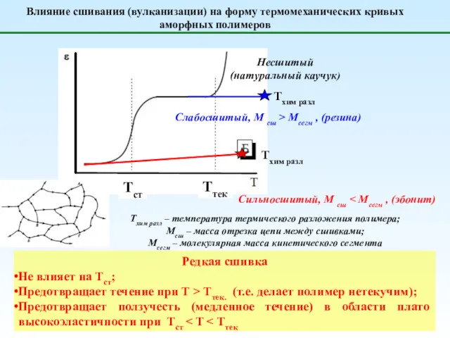 Влияние сшивания (вулканизации) на форму термомеханических кривых аморфных полимеров Тхим