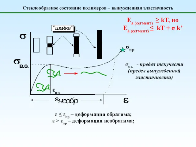 Стеклообразное состояние полимеров – вынужденная эластичность σв.э. - предел текучести