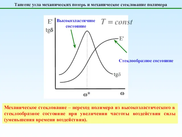 Тангенс угла механических потерь и механическое стеклование полимера Высокоэластичное состояние